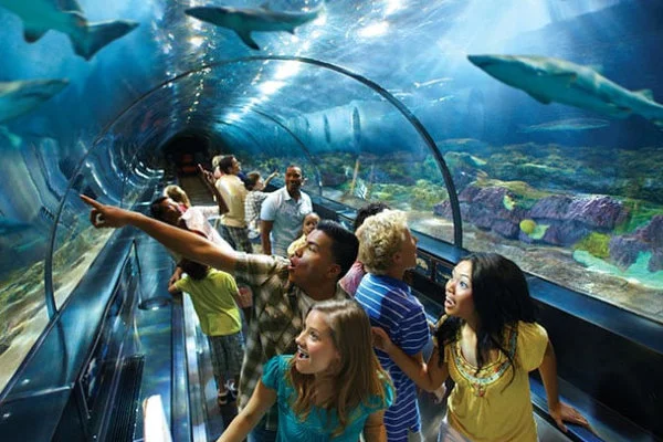 SeaWorld Orlando